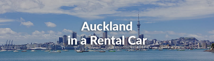 Auckland in a Rental Car Guide
