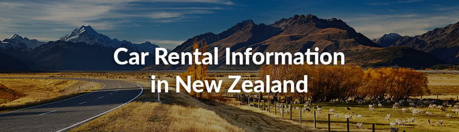 Car Rental Information in New Zealand