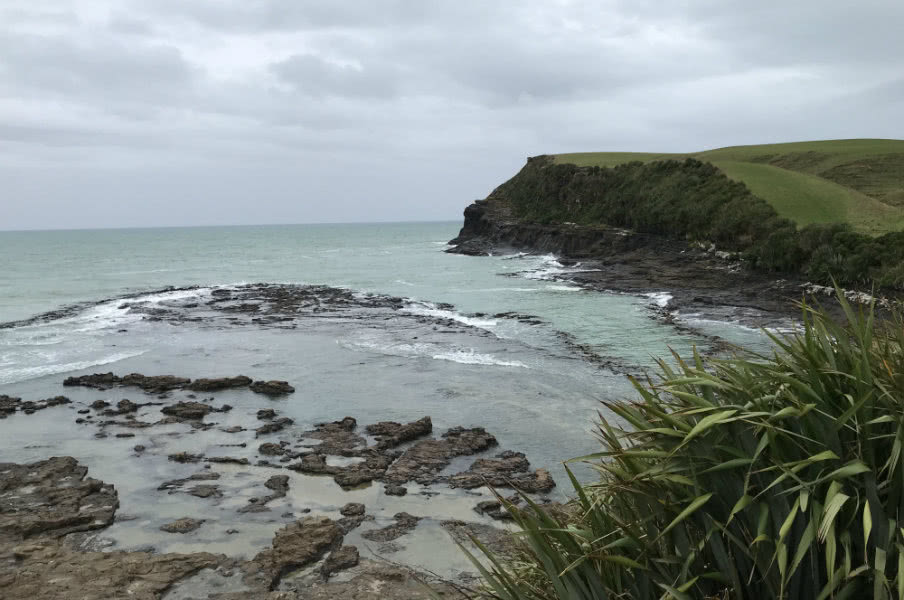Curio Bay