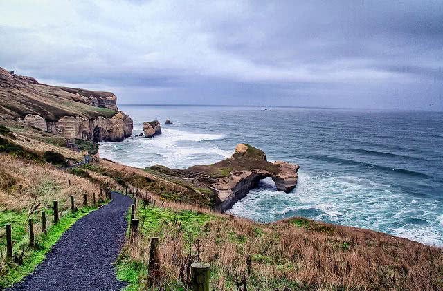 Dunedin views and landscapes