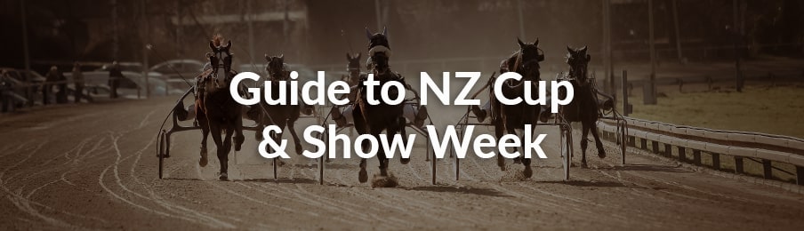 guide to christchurch cup and show week guide to christchurch cup and show week