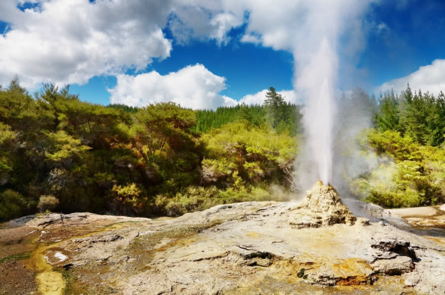 Lady Knox Geyser, Wai-O-Tapu