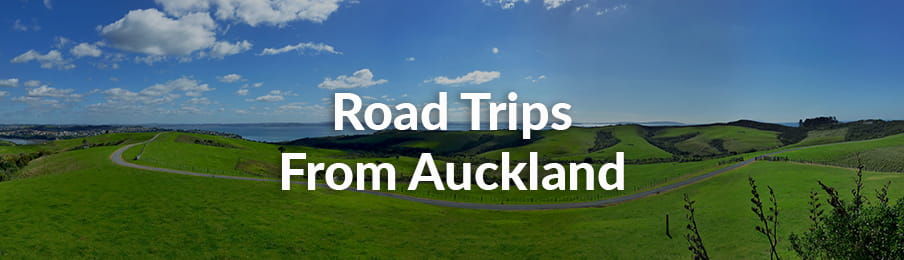 Panoramic view over Shakespear Regional Park near Auckland