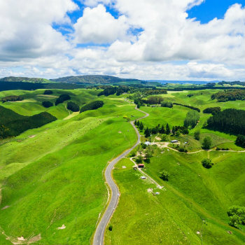 Rolling hill in Rotorua, North Island, NZ Rolling hill in Rotorua, North Island, NZ
