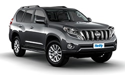 rental cars