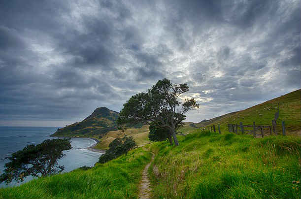 Gisborne landscape
