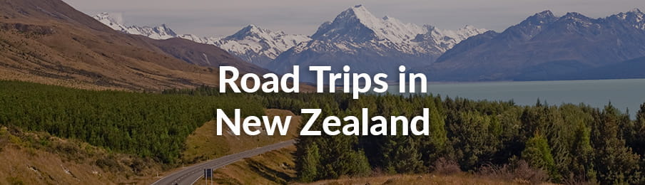 Traveling by car, Mount Cook, New Zealand.